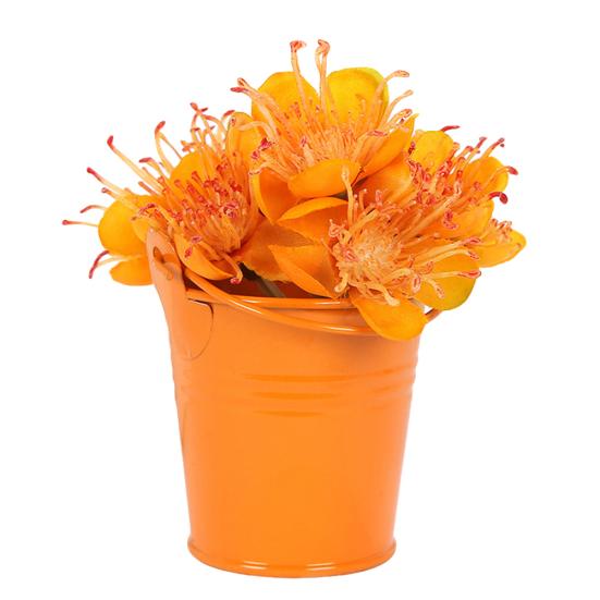 Милое мини однотонное ведро ведро для свадебной вечеринки, сувениры для домашнего отеля, декор