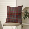 Fashionable Check Pattern Design Pillow Case Comfort Sofa Bed Silky Elegant Invisible Zipper Decorative Cushion Cover