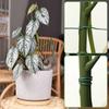 5Pcs Plant Support Stakes Reusable Simulated Tree Branch Plant Stakes Vine Climbing Bracket for Potted Plants Garden Tools
