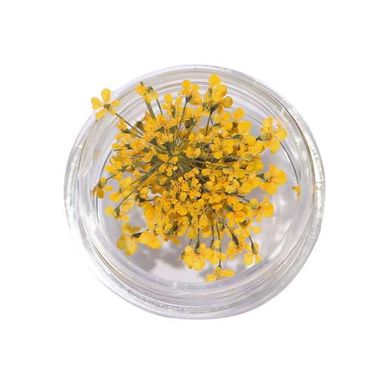 1 коробка подвески для ногтей, не выцветающие, «сделай сам», легко наносятся, изысканные красочные натуральные цветы, художественное украшение для маникюрного магазина