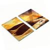 Tempered Glass Kitchen Boards with Saharan Camel Graphics 2x40x52 Cm