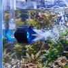 Glowing Aquarium Flow Fan Plastic Rotating Wave Nozzle Fish Tank Wave Maker  Saltwater Tank