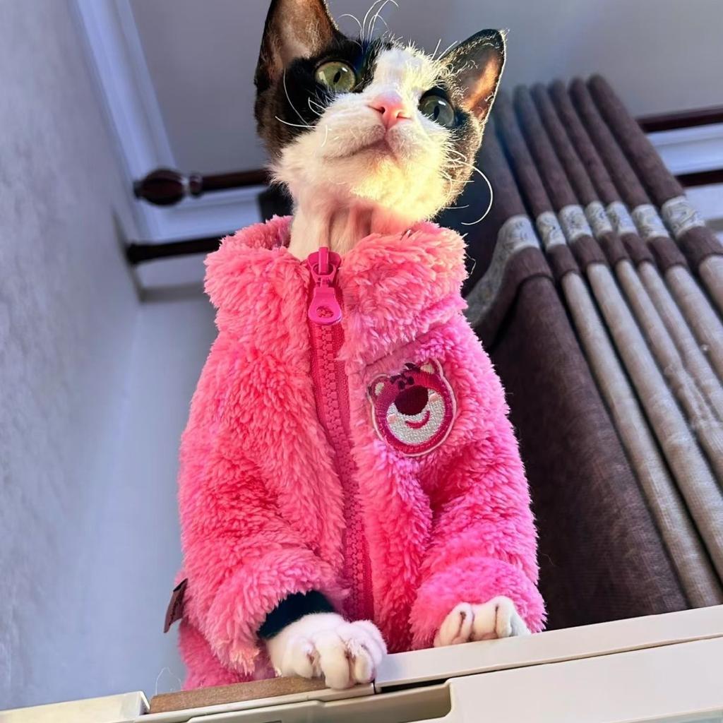Fashion Sphynx Cat Pink Bear Fleece Sweater Hairless Cat Clothes Thick Warm 4-legged Coat Fleece Jumpsuit for Devon Rex