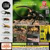Bandai Иллюстрированная энциклопедия существ Жук 08 x Все 5 типов Набор Полный Комп Gacha Gacha Капсула Игрушка