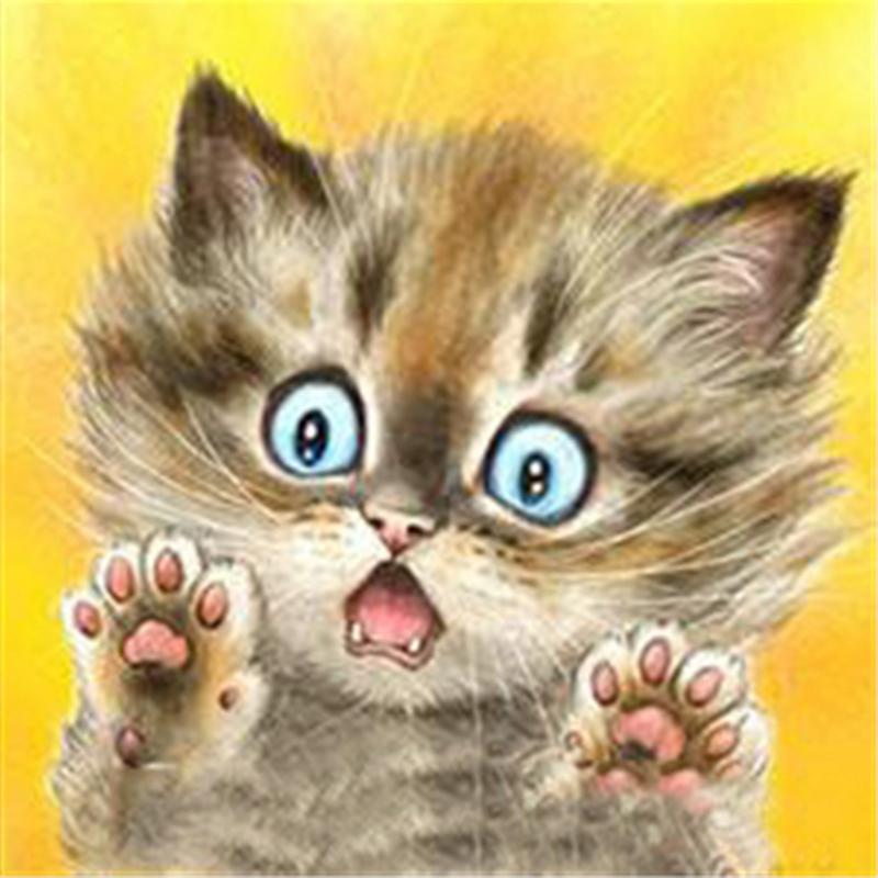 Полная дрель круглая/квадратная алмазная живопись кошка 5D DIY Алмазная вышивка животное мозаика вышивка крестиком настенное искусство подарок ручной работы