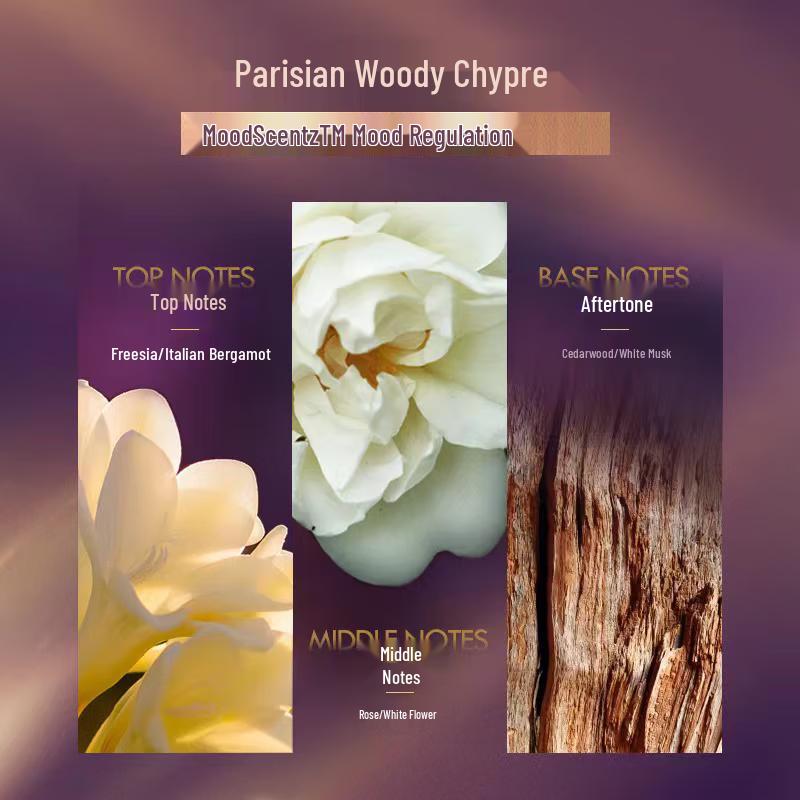 LUX Amber Gold Light Mist Hair Oil 5-Pack (80ml Each)