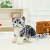 Simulated Cat Doll Creative Plush Toy Children'S Soothing Rag Doll Pet Cat Doll