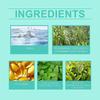 Nourishing Hair Essence Spray - Moisturizes, Repairs & Adds Shine with Rosemary & Vitamin E