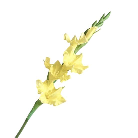 Artificial Gladiolus Flowers 22" Real Touch Flower with Long Stem 4 Full Blooms