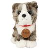 Cute Sales Akita Inu Tiger Hair Medium D0020 H23 X W14 X D22cm