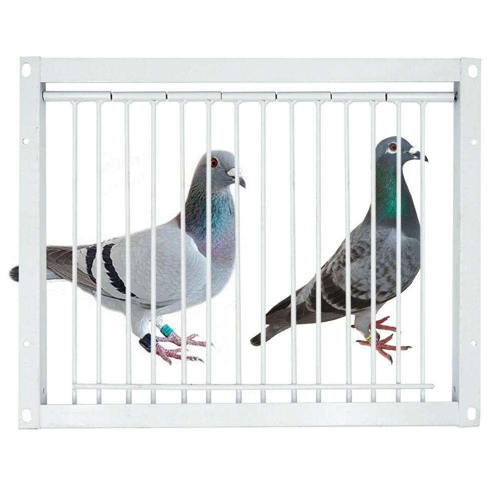 Removable Pigeon Entrance Door 30/40x26cm Trap Door Birds Catch Cage Pigeon Loft Door Pigeon House