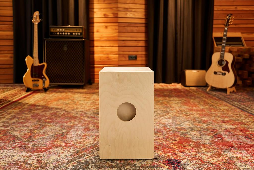 MEINL Percussion Meinl Кахон Пикап Пикап Snarecraft Cajon PSC100NT Встроенный []