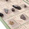 Oherikosha Specimen Geological Time Specimens History of the Book-Type Set "The Earth"