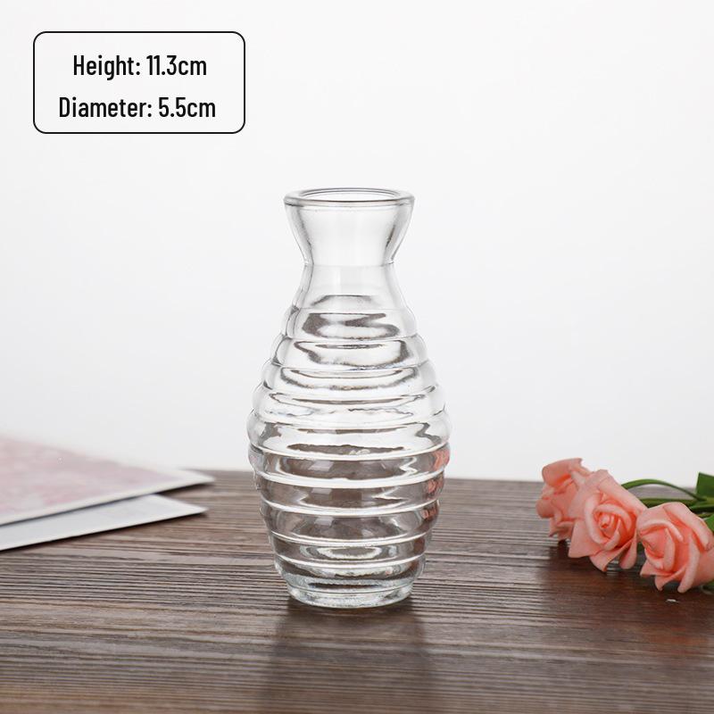 Small French Retro Glass Hydroponic Vase for Home Decor
