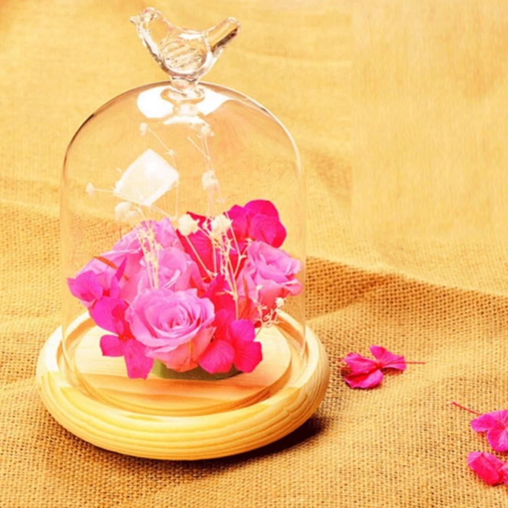 Clear Glass Display Cloche Dome with Bird Handle Wooden Base, Immortal Flower Glass Cover Large Size Office Home Decoration