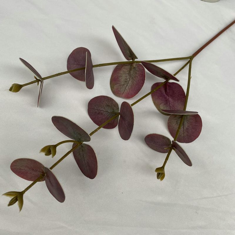 Стебли листьев эвкалипта для внутреннего и наружного свадебного украшения, подарок