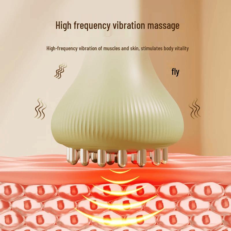 Chigo Electric Meridian Brush Massager with Heating CN plug (adapter included)