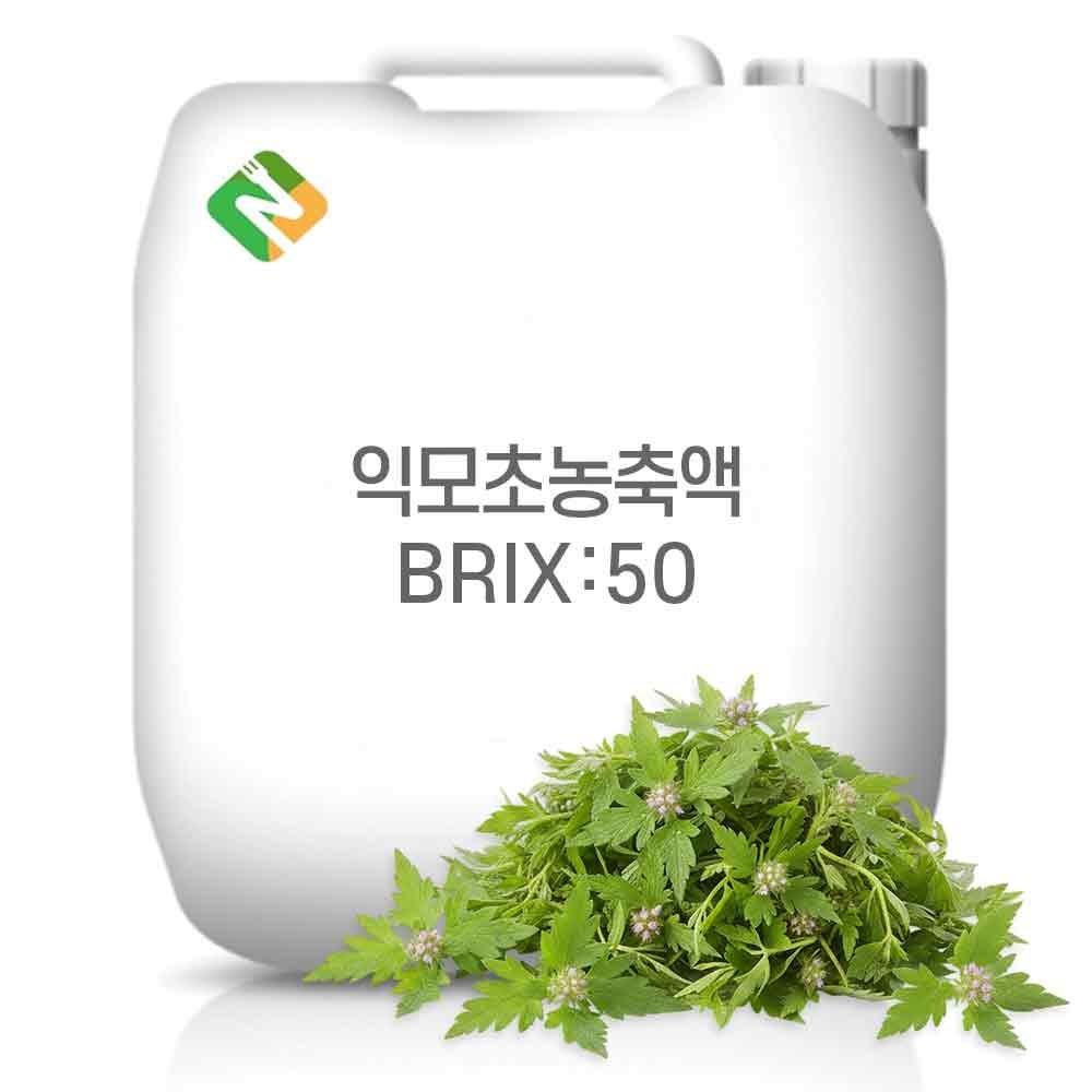Leonurus japonicus concentrate 50 Brix 20 kg 1 pc