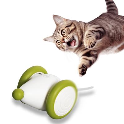 Игрушка для кошек Nekogakudo, выпуск 2024 года, мышь Wicked Mouse Plus Solo Play, электрический озорной друг для кошек (зеленый)