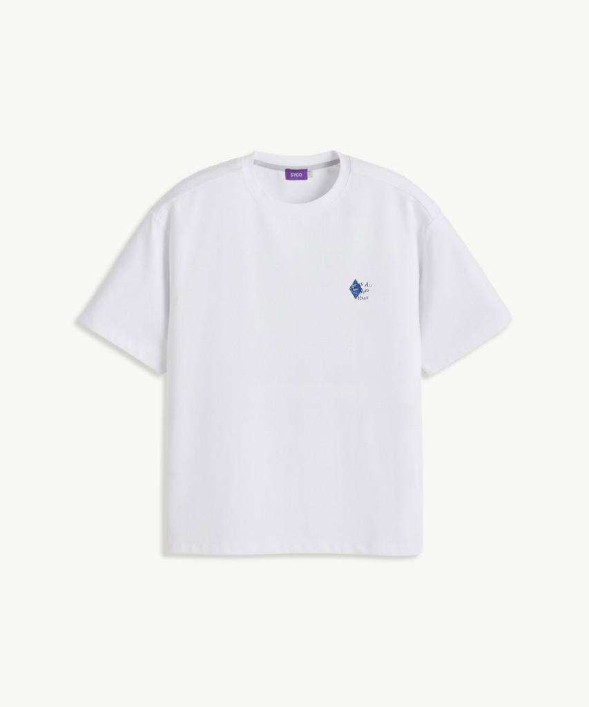 STCO Print Short Sleeve T-Shirt_White (Oversized Fit)_Stsxb71Opw