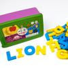Playmax 4 Types of Magnetic Letters Every Day, 1 Set, 253 Pieces, Korean Toy Supplies