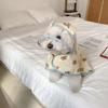 Waterproof Hooded Pet Raincoat Small Dogs With Cartoon Bear Design - Taffeta Fabric S/L/XL Sizes