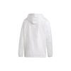 Adidas Casual Sports Windproof Hooded Jacket Men Jackets White DZ0054