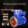 Vertical Explosion-Proof Electric Motor