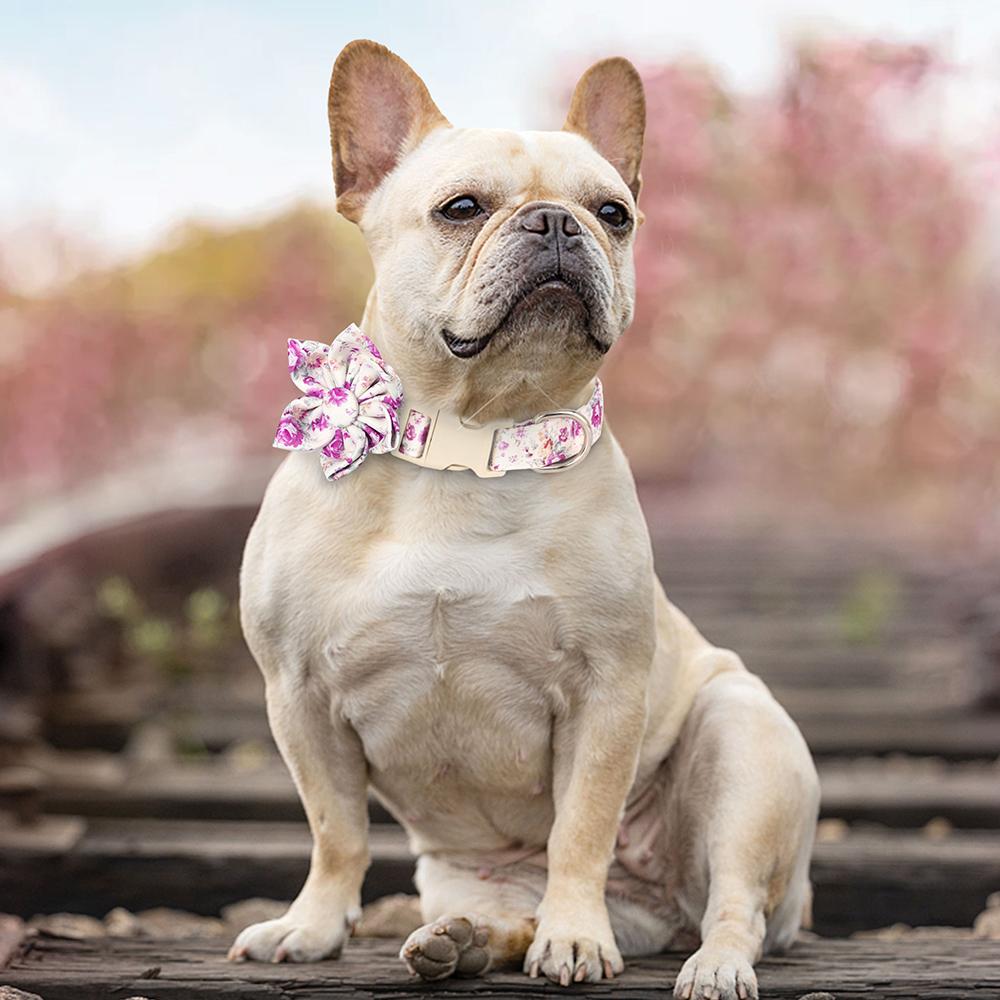 Модный нейлоновый ошейник для собак с цветочным принтом, регулируемый весенний ошейник для собак с цветком для маленьких и средних собак, мопса, чихуахуа