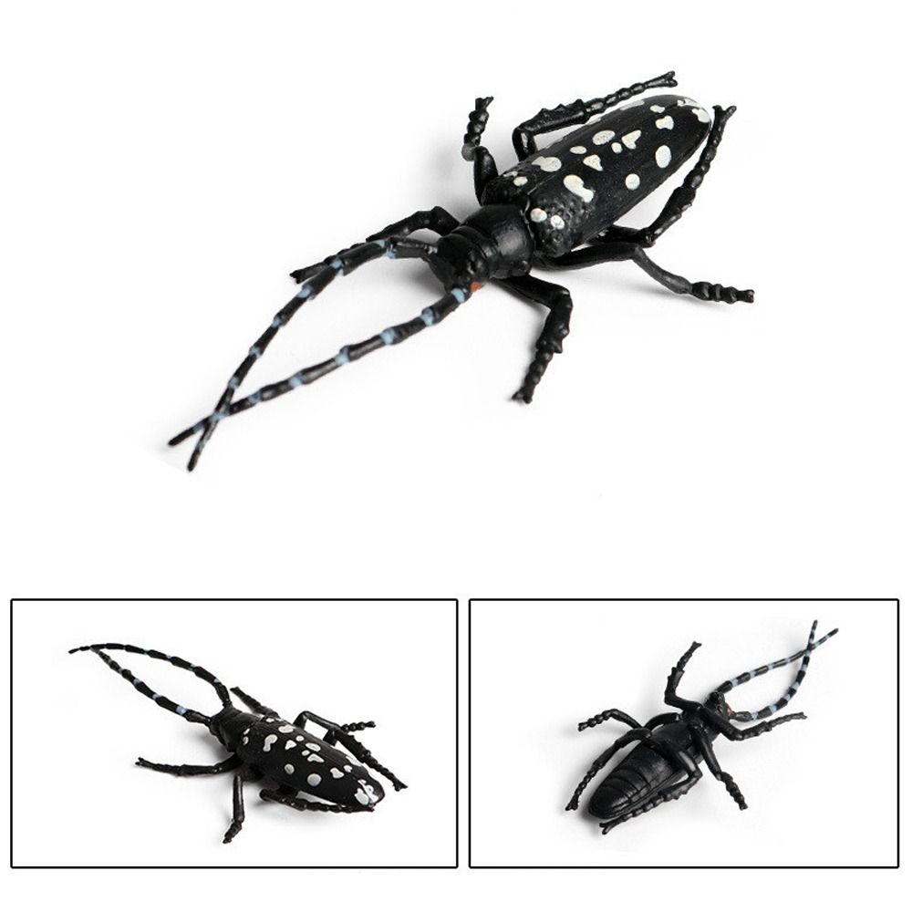 Realistic Beetle Action Figures Wild Insect Lifelike Insect Figurines Desktop Ornament