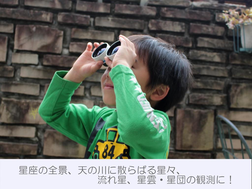 SIGHTRON Stella Scan 2x40 Binoculars, 2x Magnification, 40mm Aperture, Lightweight and Compact, for Stargazing, Theater, and Concerts [Japanese