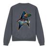 Звездный путь: Свитшот Discovery Unisex Adult Deco
