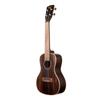 KALA Ukulele Striped Ebony Series Ebony Body Concert Successor KAEBY-C-WBAG20_06 [KA-EBY-C Model] (Case Included) []