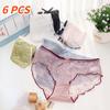 6 Pcs/set  Lace Underwear Lingerie for Women Transparent Panties