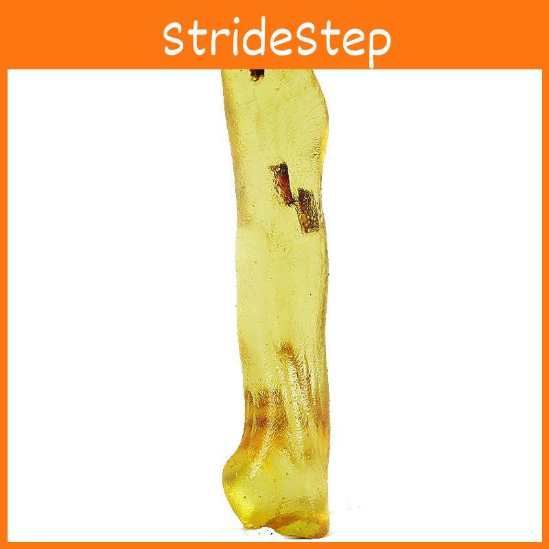 Натуральный минеральный кристалл янтаря с насекомым для коллекции уникальных геологических образцов**