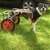 Pet Wheelchair, Large Dog Walking Assisted Wheelchair Car