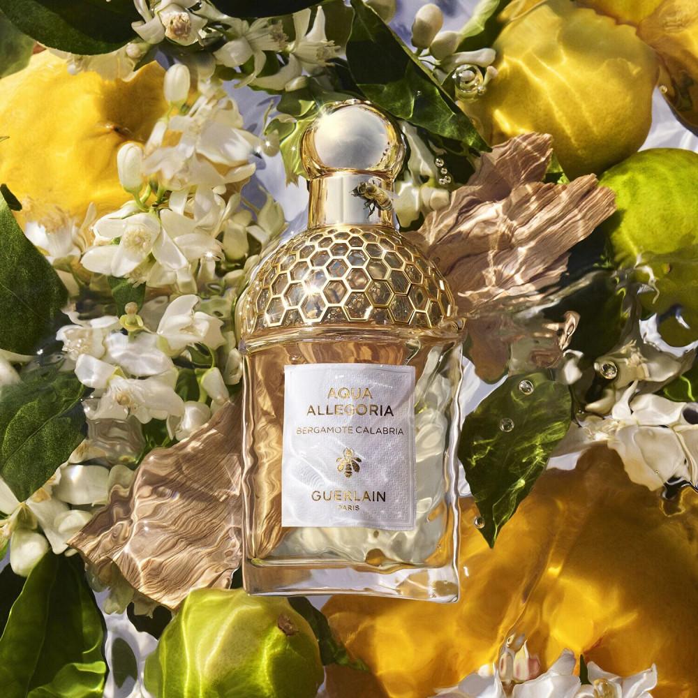 Guerlain - Eau de Toilette Aqua Allegoria Bergamote Calabria 75 ml -