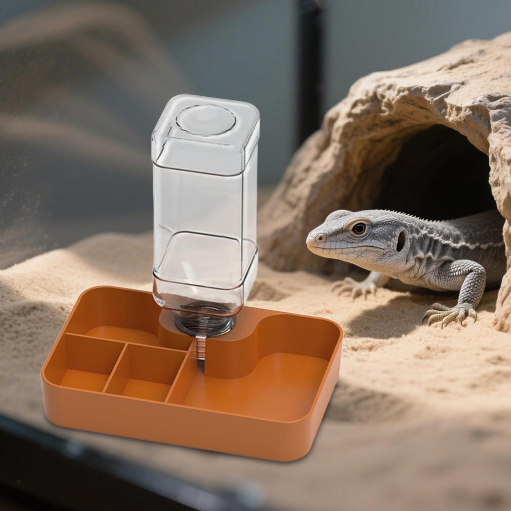 Reptile Feeder Amphibians Accessory Multi Compartments Automatic Water Dispenser for Chameleon Snake Gecko Turtle Tortoise