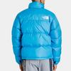 THE NORTH FACE 1996 Retro Nuptse Jacket NF0A3C8D-JA7