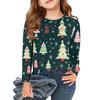 Рождественские футболки с длинным рукавом для девочек, детские осенние топы с круглым вырезом и принтом, базовые футболки