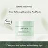 Snow Beauty Pore Purifying Clay Mask
