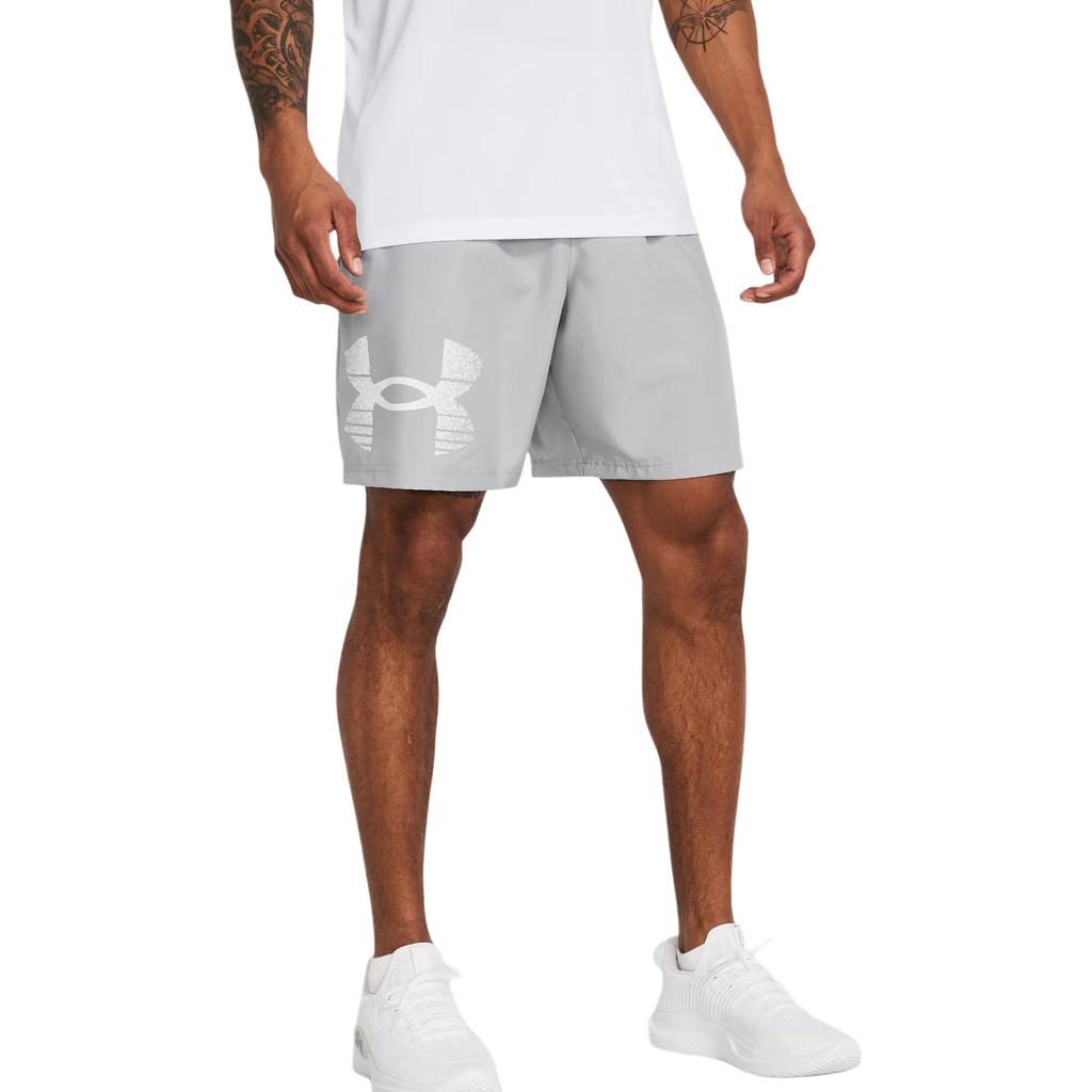 Under Armour Мужские шорты Woven Series UA Tech Graphic Shorts Серые 1377139-011