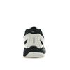 Nike Air Pegasus 2K5 Pale Ivory Black Unisex Sneakers Metallic-Silver Coconut-Milk HQ5403-102