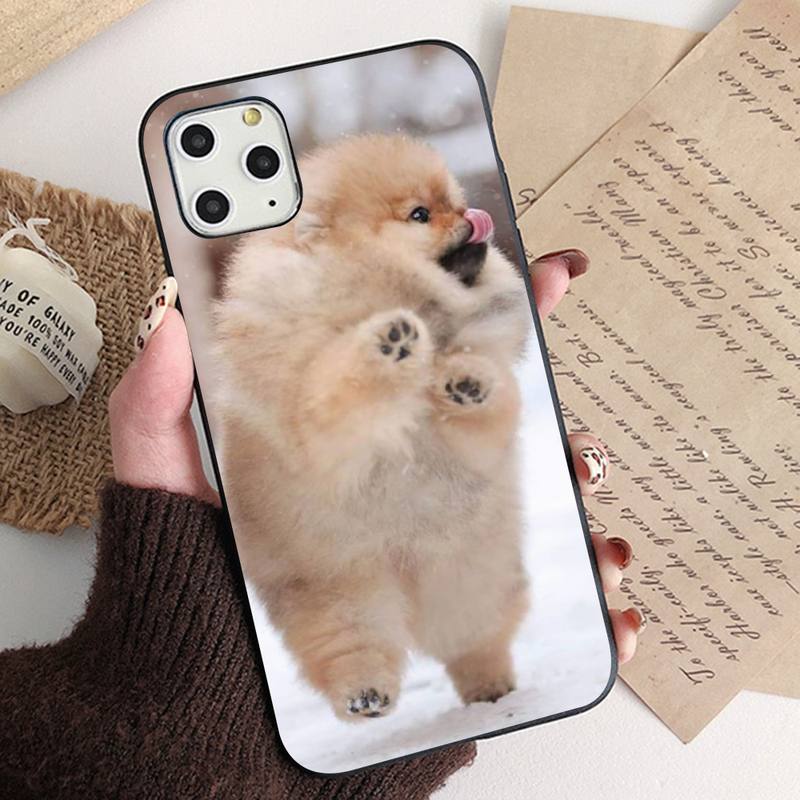 Чехол для телефона MaiYaCa Pomeranian dogs для iPhone 11 12 13 mini pro XS MAX 8 7 6 6S Plus X 5S SE 2020 XR