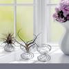 6 Pcs Flower Pot Stainless Steel Air Plant Stand Container Tillandsia Holder