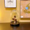 Forest style pine cone desktop decoration Wabi Sabi style pure handmade DIY