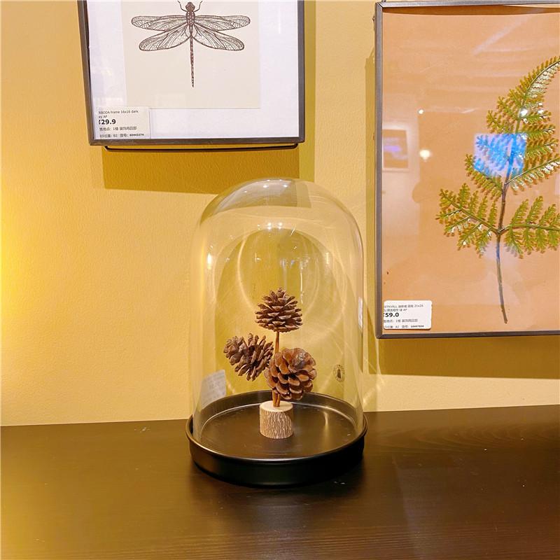 Forest style pine cone desktop decoration Wabi Sabi style pure handmade DIY