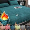 2025 Warm Winter Bed Sheet,A Soft Touch and Plush Thick Bed Sheet Mattress Cover,Pink Green Blue Grey Black