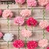 2pcs Gradient Tissue Paper Pom Pom Garlands Paper Flowers for Birthday Decorations Baby Shower Wedding Engagement Spring Summer Party Decorations