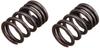 SP Takegawa Valve Spring Set (2 Pieces) 00-01-0283